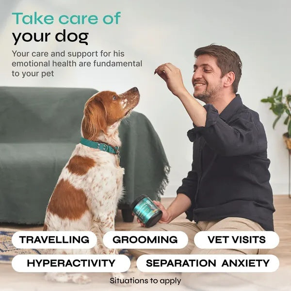 Favor Calming Treats For Dogs