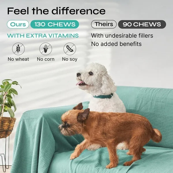 Favor Calming Treats For Dogs