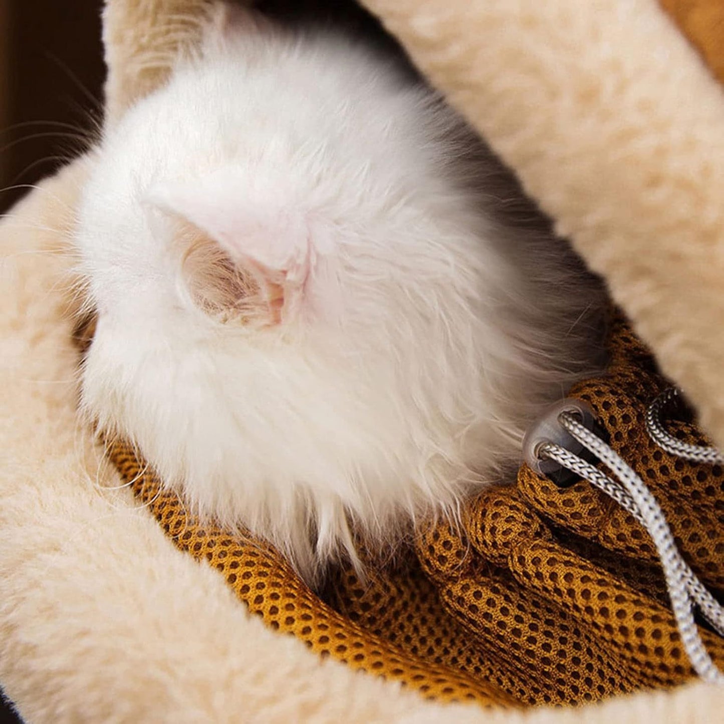 Backpack Carrier Dog Travel Bag Pet Hand Warmers